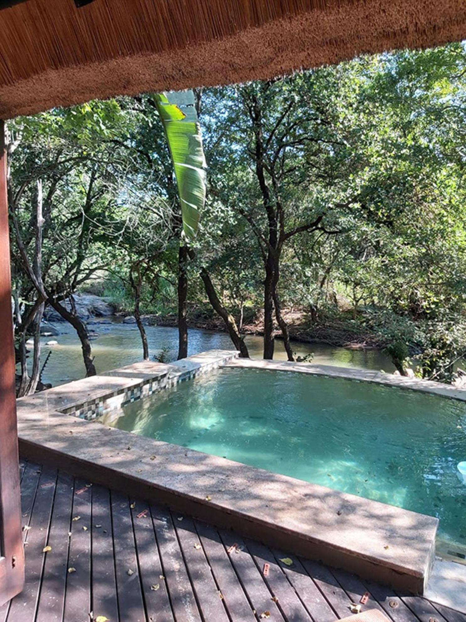 Dreamy 3 Bedroom Villa On The Edge Of The Sabie River In Kruger Park Lodge ヘイジービュー エクステリア 写真